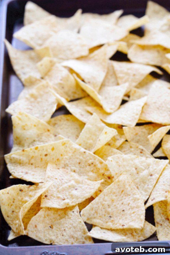 Loaded Chicken Enchilada Nachos 3 Layering Perfection: Building Your Chicken Enchilada Nachos
