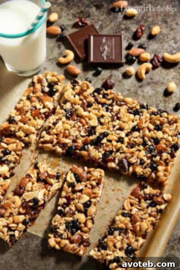 Nuts and Fruits Energy Bars (homemade KIND Bars) | afarmgirlsdabbles.com