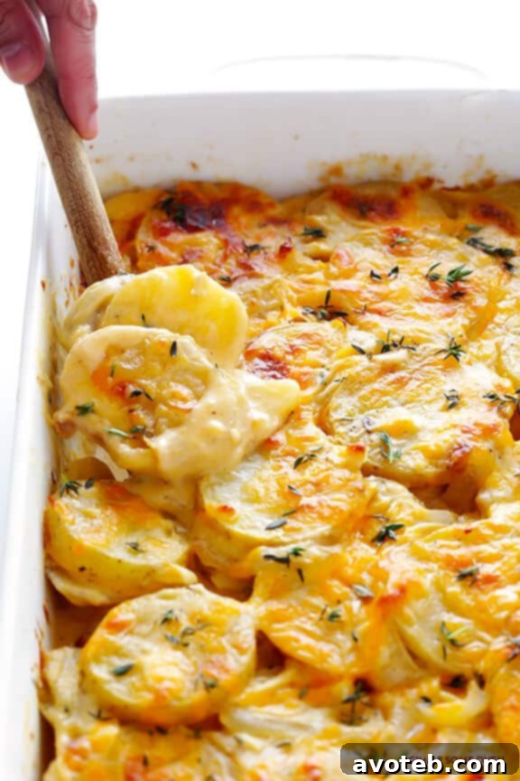 Creamy Scalloped Potatoes, baked to golden perfection.