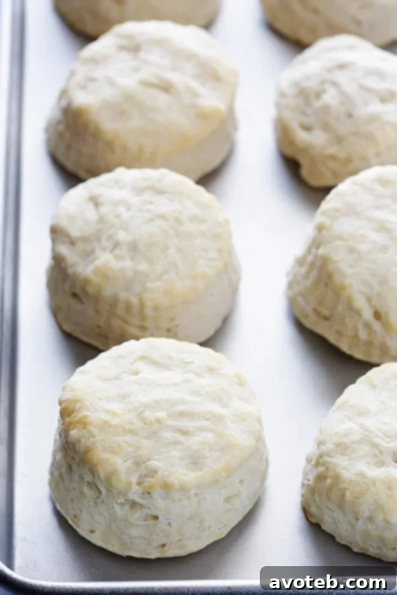 Fluffy Vegan Biscuits with Umami Mushroom Gravy 3 Vegan Mushroom Gravy on Biscuits - A Dairy-Free Delight