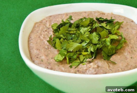 A vibrant bowl of Black Bean Hummus surrounded by a variety of fresh vegetables and pita bread for dipping.