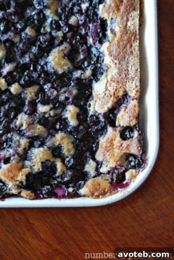 Grandma Bea's Blueberry Cobbler | number-2-pencil.com