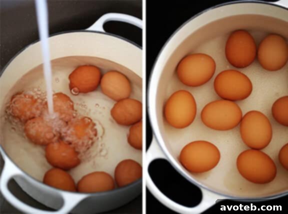 How to Craft Original English Titles 4 How To Make Perfect Hard-Boiled Eggs -- an easy step-by-step tutorial | Selecting the right eggs for effortless peeling.