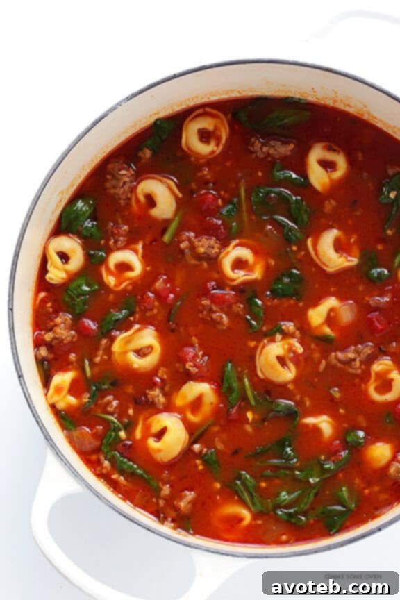 Close-up of a rustic bowl of Tortellini Soup, highlighting the vibrant colors of tomatoes, spinach, and Italian sausage. | gimmesomeoven.com