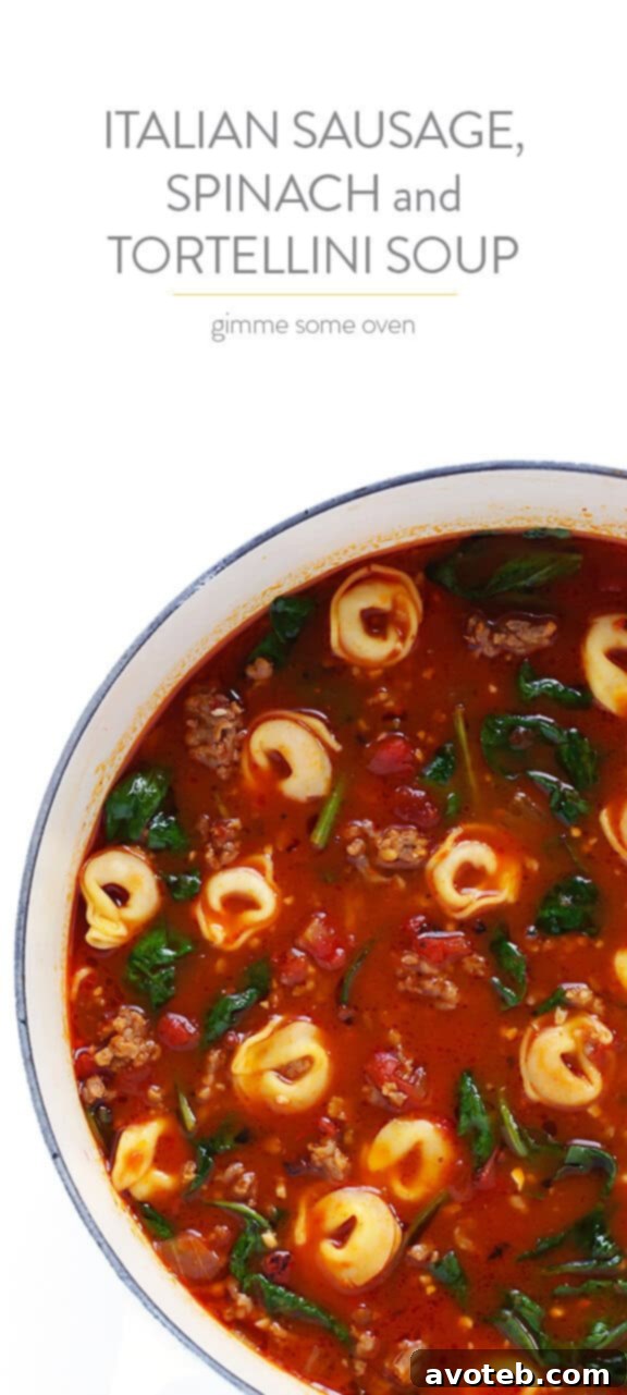 A close-up shot of a bowl of Tortellini Soup garnished with fresh Parmesan and basil, ready to be served. | gimmesomeoven.com