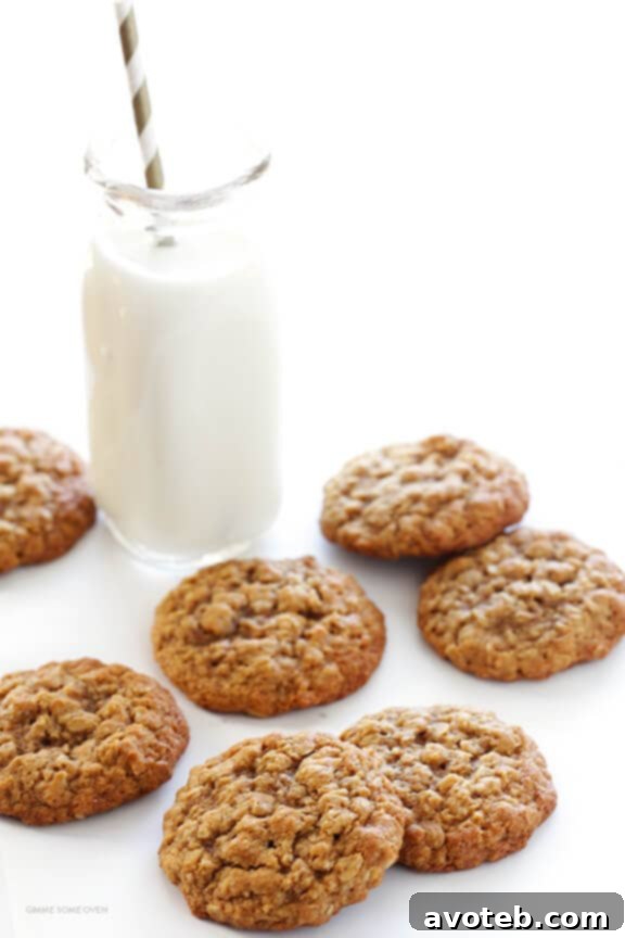 A close-up shot of a single Whole Wheat Oatmeal Cookie, carefully broken in half, revealing its tender, chewy interior generously studded with oats, creating an irresistible invitation to taste.