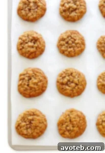 The Best Soft and Chewy Whole Wheat Oatmeal Cookies