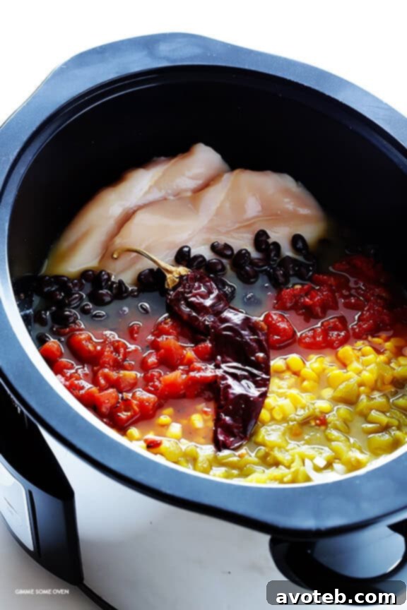 Crockpot Chicken Tortilla Soup 3 Slow Cooker Chicken Tortilla Soup -- this delicious recipe takes 10 minutes to prep, and then your crock pot does the rest! (It is also naturally gluten-free.) | gimmesomeoven.com