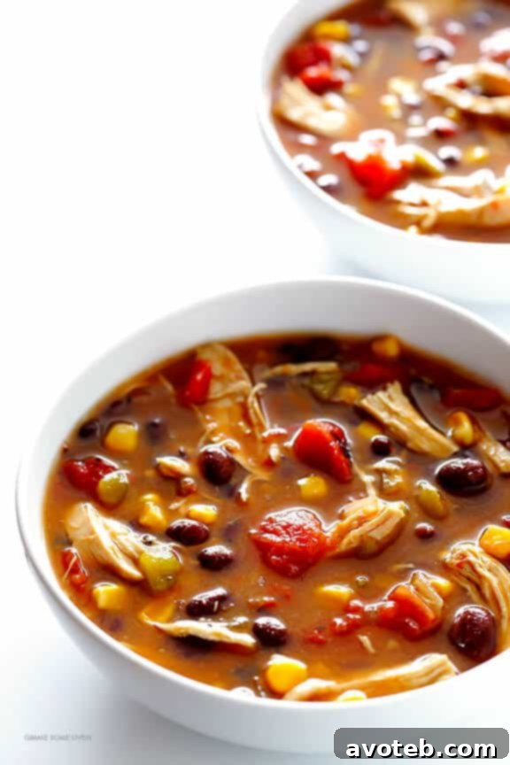 Crockpot Chicken Tortilla Soup 6 Slow Cooker Chicken Tortilla Soup -- this delicious recipe takes 10 minutes to prep, and then your crock pot does the rest! (It is also naturally gluten-free.) | gimmesomeoven.com