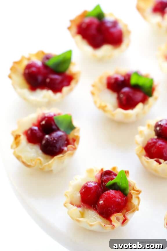 Gooey Cranberry Brie Bites 11 A beautiful platter overflowing with Super-Easy Cranberry Baked Brie Bites, ready to be served as an impressive yet simple appetizer
