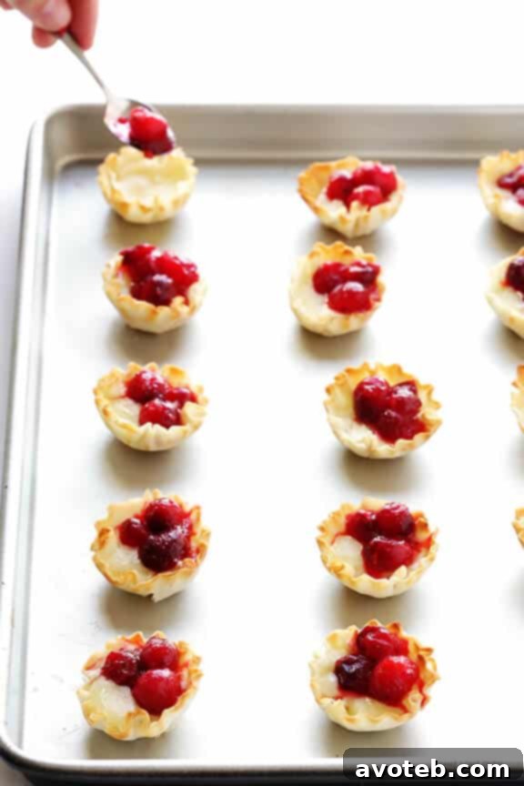 Gooey Cranberry Brie Bites 8 Fresh cranberries and a glass of red wine, highlighting key ingredients for the homemade cranberry sauce