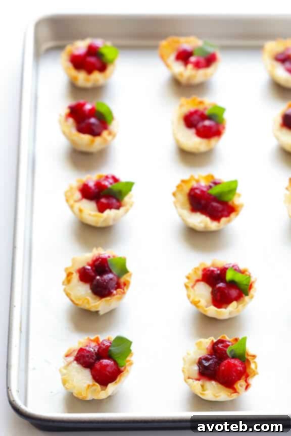 Gooey Cranberry Brie Bites 9 Mini phyllo cups filled with melted brie cheese, with cranberry sauce being spooned into them