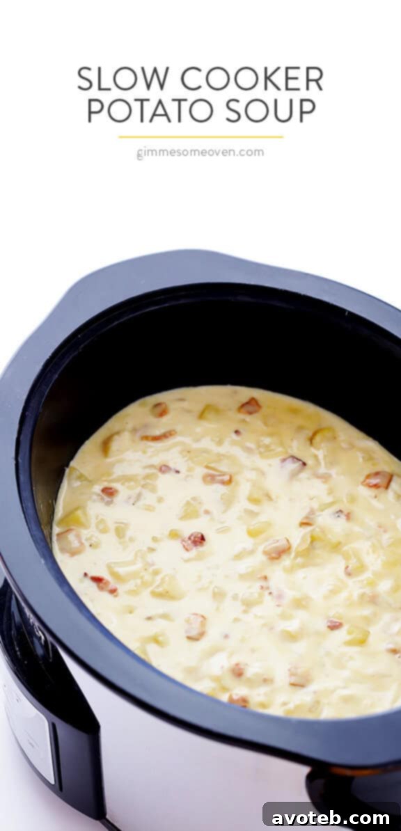 Velvety Slow Cooker Potato Soup 9 Slow Cooker Potato Soup -- so delicious, and made extra-easy in the crock pot! | gimmesomeoven.com