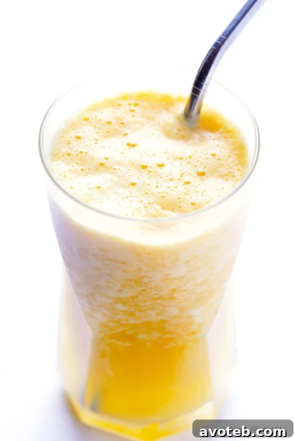 Dreamy 5-Ingredient Orange Cream Smoothie 3 Homemade Orange Julius: Easy & Healthy Citrus Smoothie