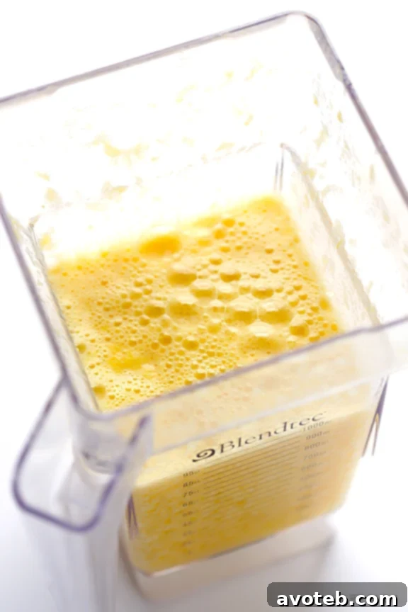 Dreamy 5-Ingredient Orange Cream Smoothie 6 Blend Ingredients for a Smooth Orange Julius