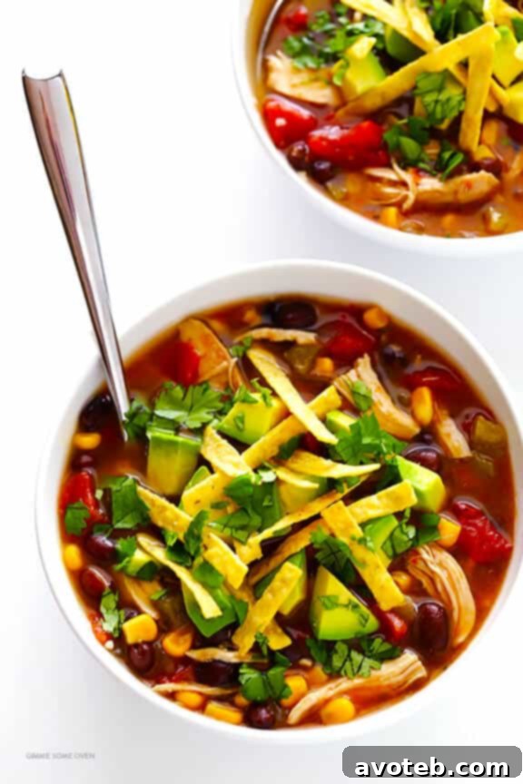 Slow Cooker Chicken Tortilla Soup | gimmesomeoven.com