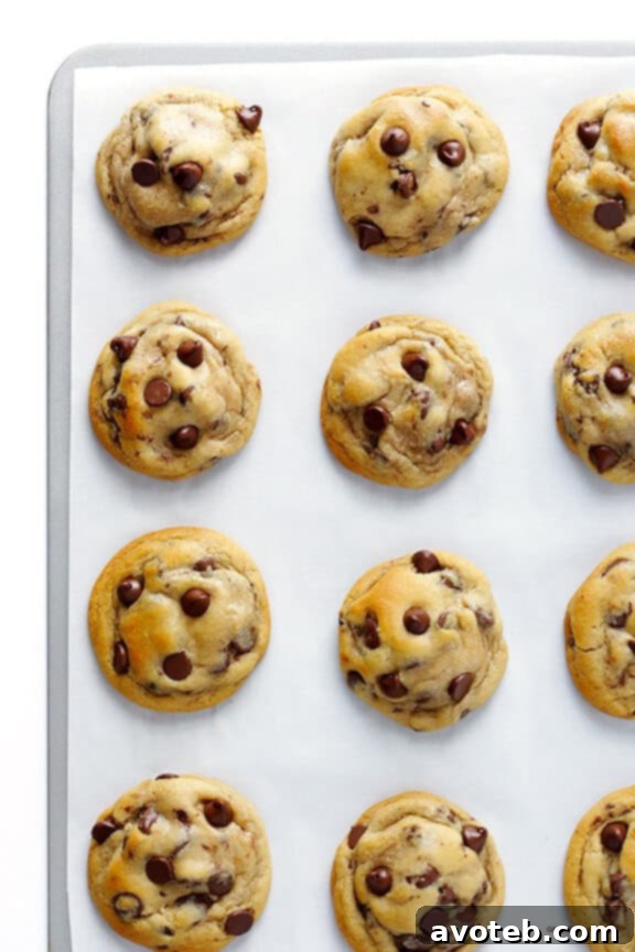 My All-Time FAVORITE Chocolate Chip Cookie Recipe -- soft, chewy, and perfectly delicious! | gimmesomeoven.com