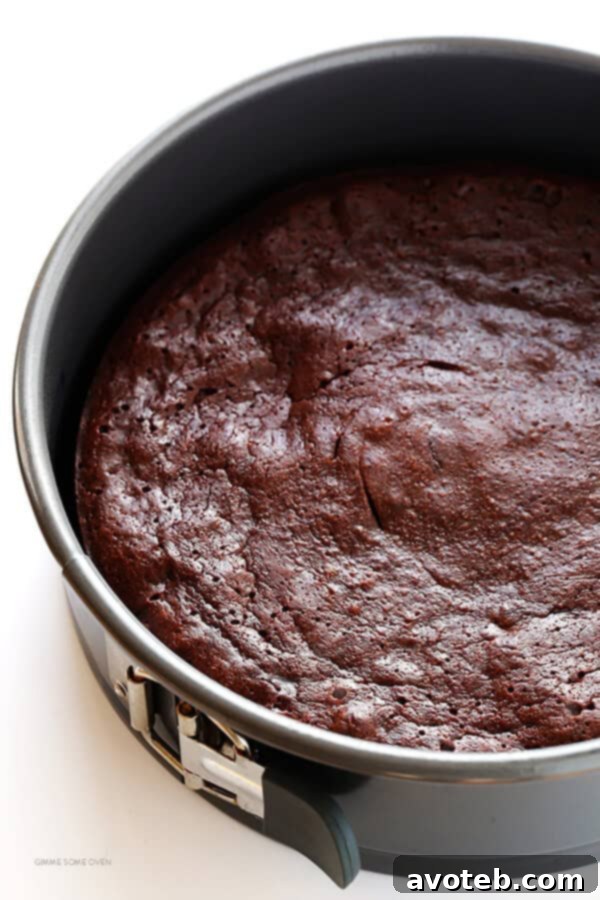 Fudgy Peanut Butter Flourless Chocolate Bliss 3 Peanut Butter Flourless Chocolate Cake -- made with just 5 easy ingredients, and so rich and delicious! | gimmesomeoven.com
