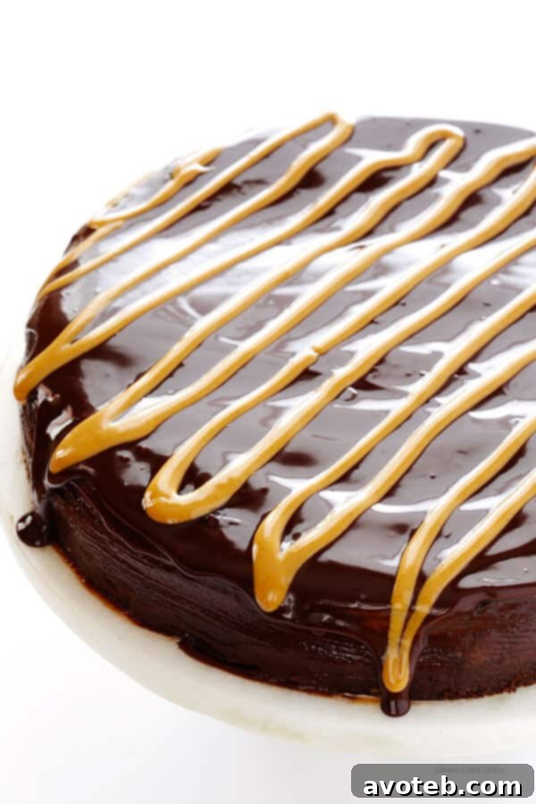 Fudgy Peanut Butter Flourless Chocolate Bliss 4 Peanut Butter Flourless Chocolate Cake -- made with just 5 easy ingredients, and so rich and delicious! | gimmesomeoven.com