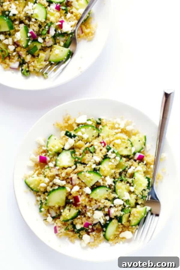 Vibrant Quinoa Cucumber Medley 7 The finished Cucumber Quinoa Salad, beautifully presented and ready to serve, highlighting its fresh ingredients and vibrant colors.