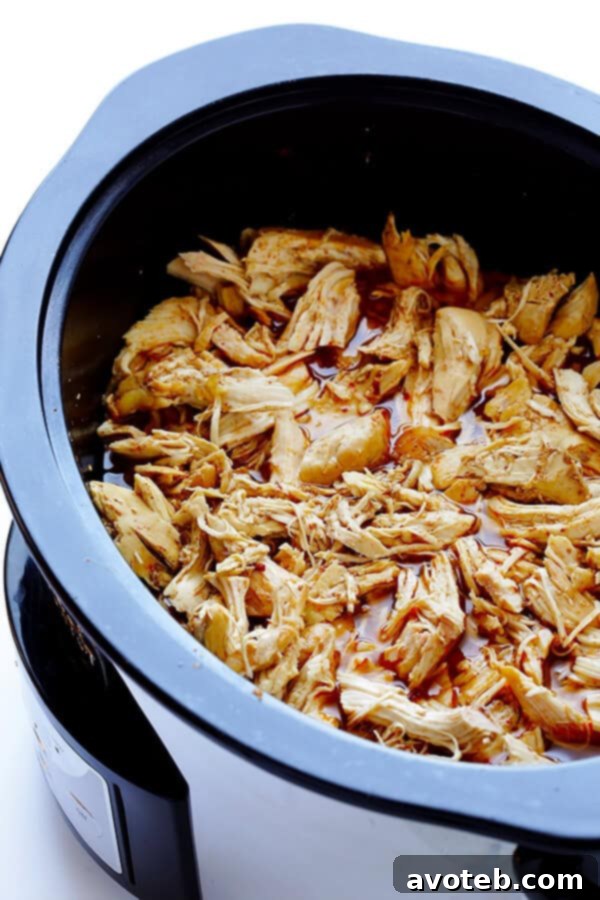 Ingredients for slow cooker chicken carnitas in a crock pot
