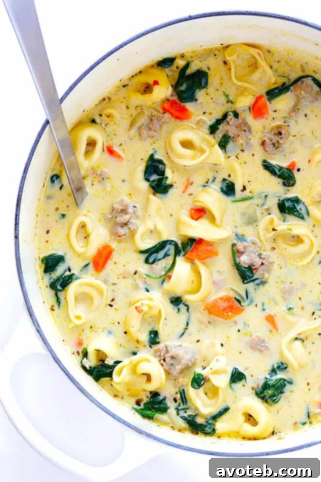 Velvety Italian Sausage Tortellini Soup 3 A close-up shot of Creamy Tortellini and Italian Sausage Soup, showing the rich broth, cheesy tortellini, and flavorful sausage. This comfort food recipe is perfect for chilly days and quick family meals.