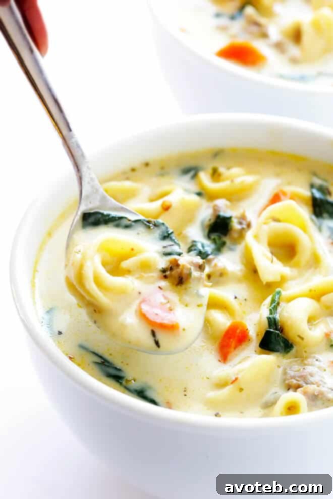 Velvety Italian Sausage Tortellini Soup 6 A bowl of Creamy Tortellini Soup with Italian Sausage and a spoon, garnished with fresh parsley. The steam rising from the soup indicates its warmth and freshness, inviting viewers to enjoy this hearty and delicious meal.