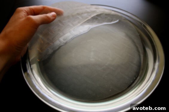 Step-by-step image of folding a Vietnamese spring roll, showing the initial fold.