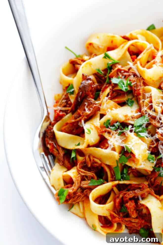 A complete serving of Slow Cooker Beef Ragu, garnished beautifully with herbs and cheese.