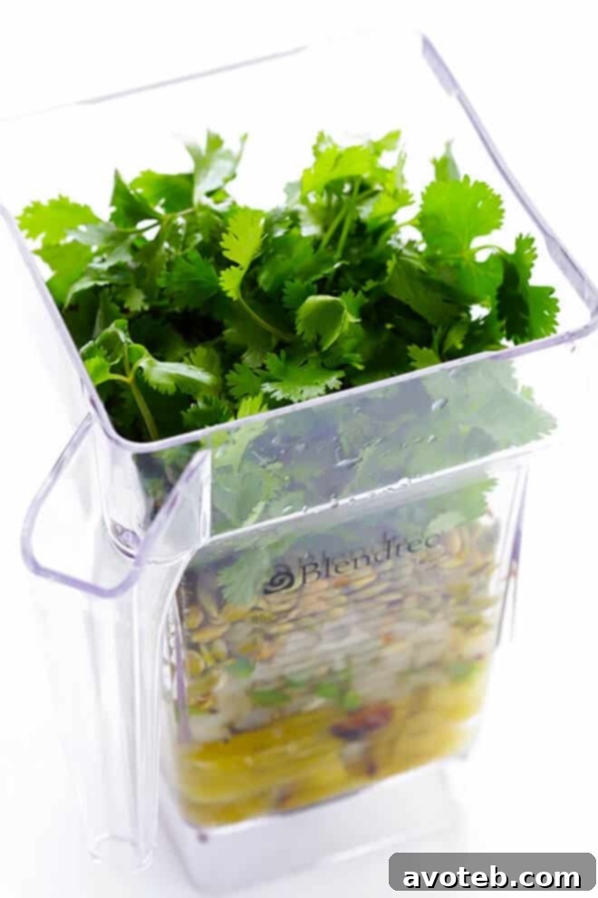 All ingredients for the Pepita Sauce (Pepián Verde) assembled in a blender, ready for pureeing.