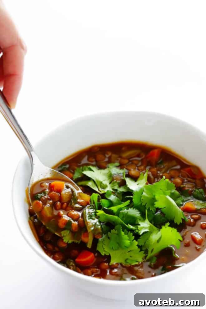 Overhead shot of Slow Cooker Curried Lentil Soup in a bowl, showing the vibrant colors and hearty consistency, ideal for a wholesome and easy weeknight meal. | gimmesomeoven.com