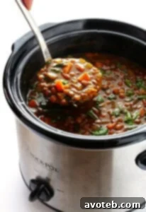 Slow Cooker Curried Lentil Soup in a white bowl with fresh cilantro