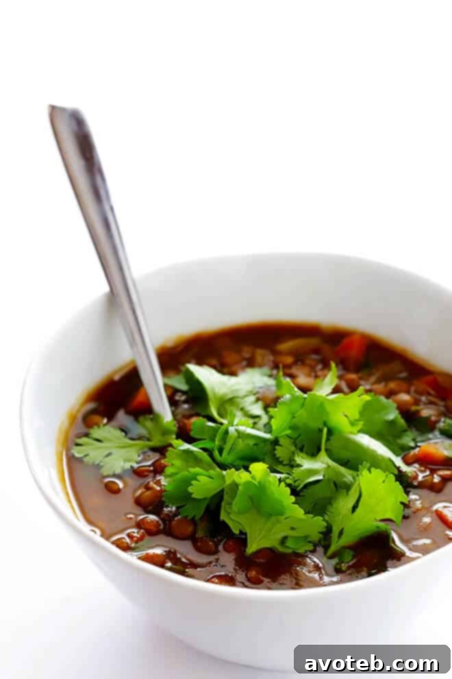 Close-up of a bowl of Slow Cooker Curried Lentil Soup, rich in texture and color, emphasizing its appeal as a healthy, vegetarian, vegan, and gluten-free crock-pot meal. | gimmesomeoven.com