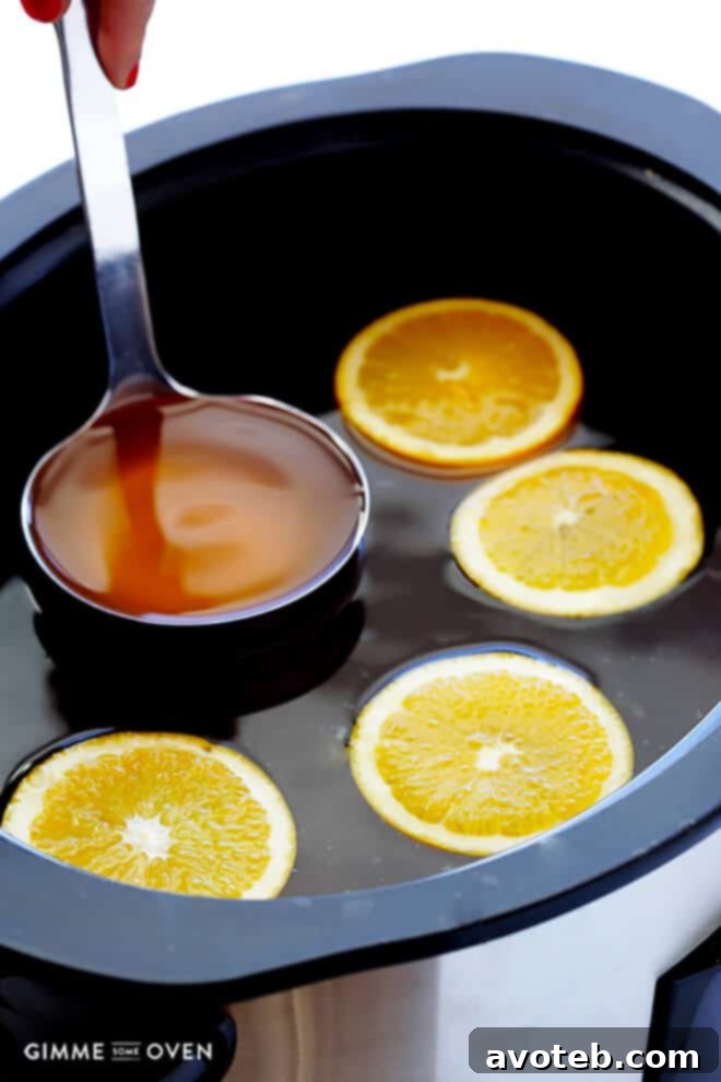 Slow Cooker Apple Cider -- one of 12 ways to rock your crock-pot this Thanksgiving! | gimmesomeoven.com