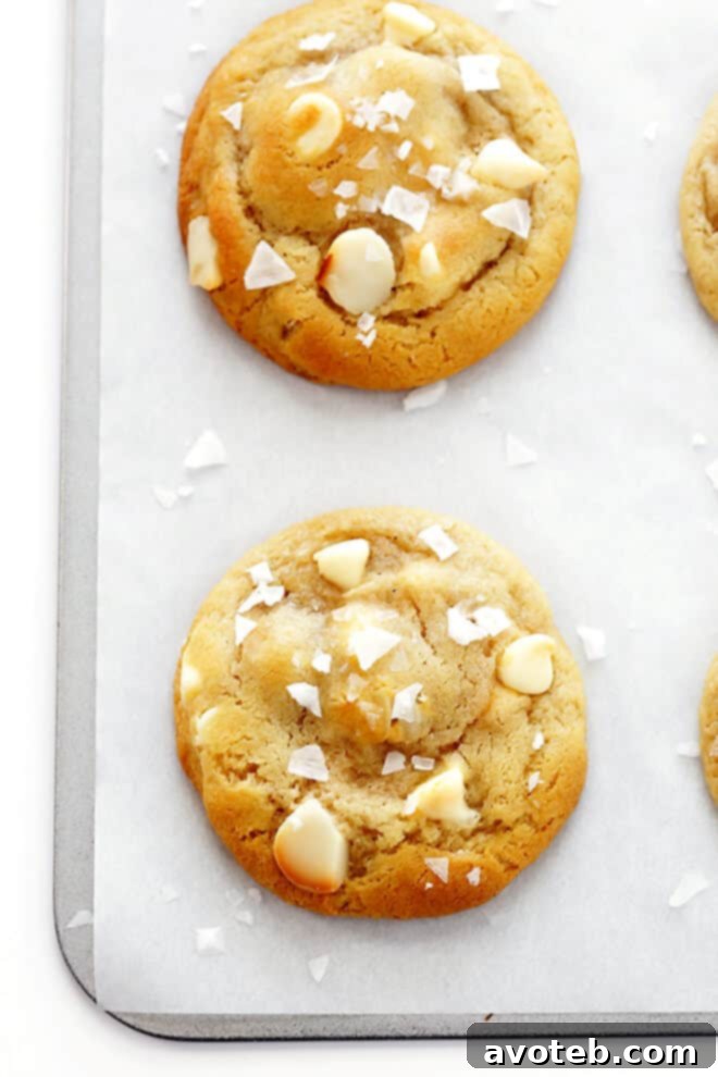 A close-up shot of a single Salted White Chocolate Macadamia Nut Cookie with visible white chocolate and macadamia pieces.