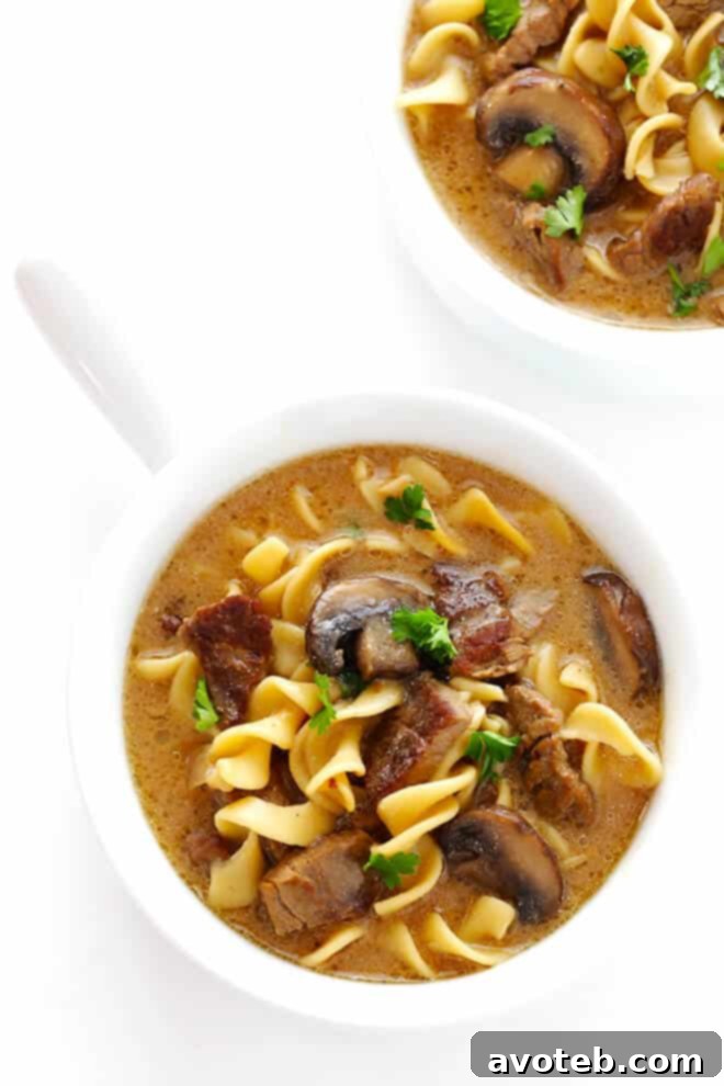 Close-up of creamy Beef Stroganoff Soup with tender beef and egg noodles