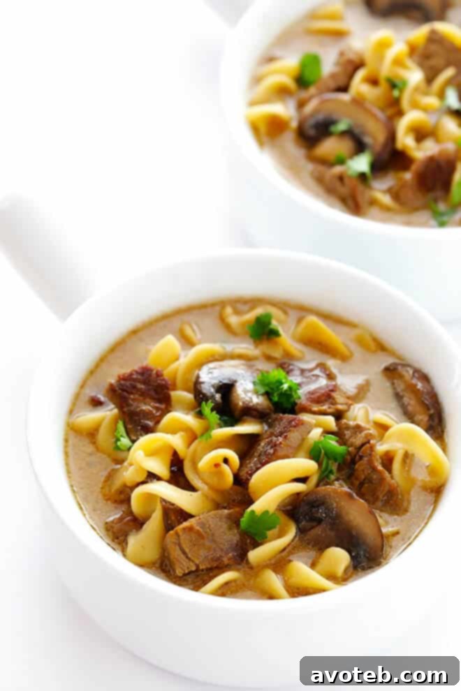 Adding sour cream to creamy Beef Stroganoff Soup for rich flavor