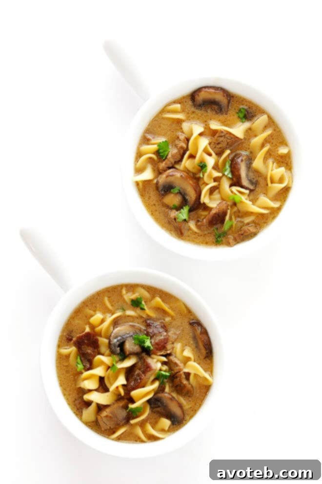 A full bowl of warm and savory Beef Stroganoff Soup, ready to be enjoyed