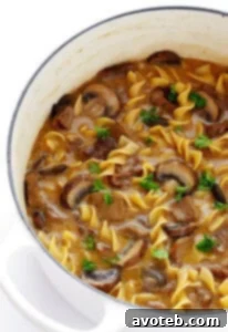 Classic Beef Stroganoff Soup ingredients for a family-friendly meal