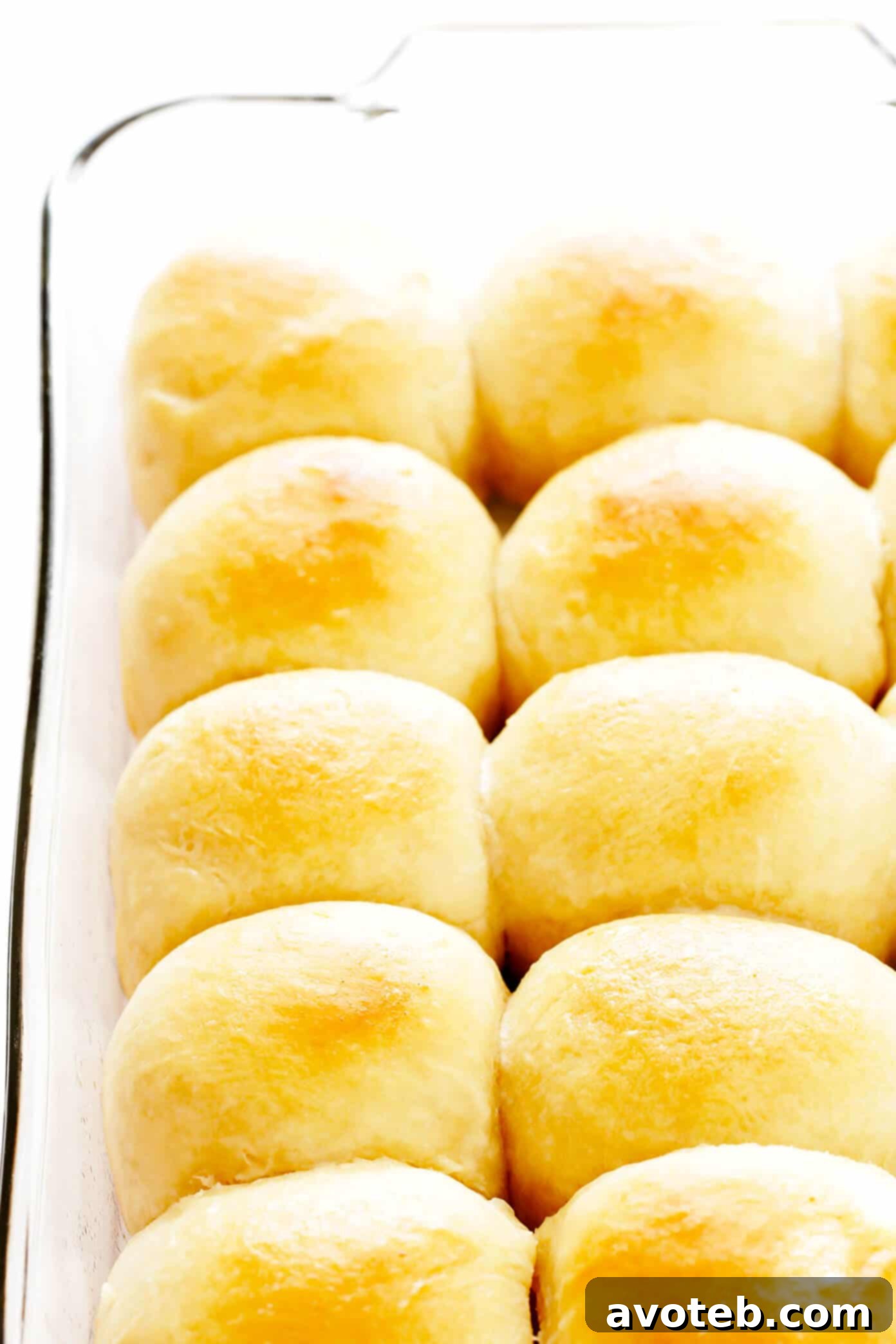 1-Hour Soft Dinner Rolls in Pan