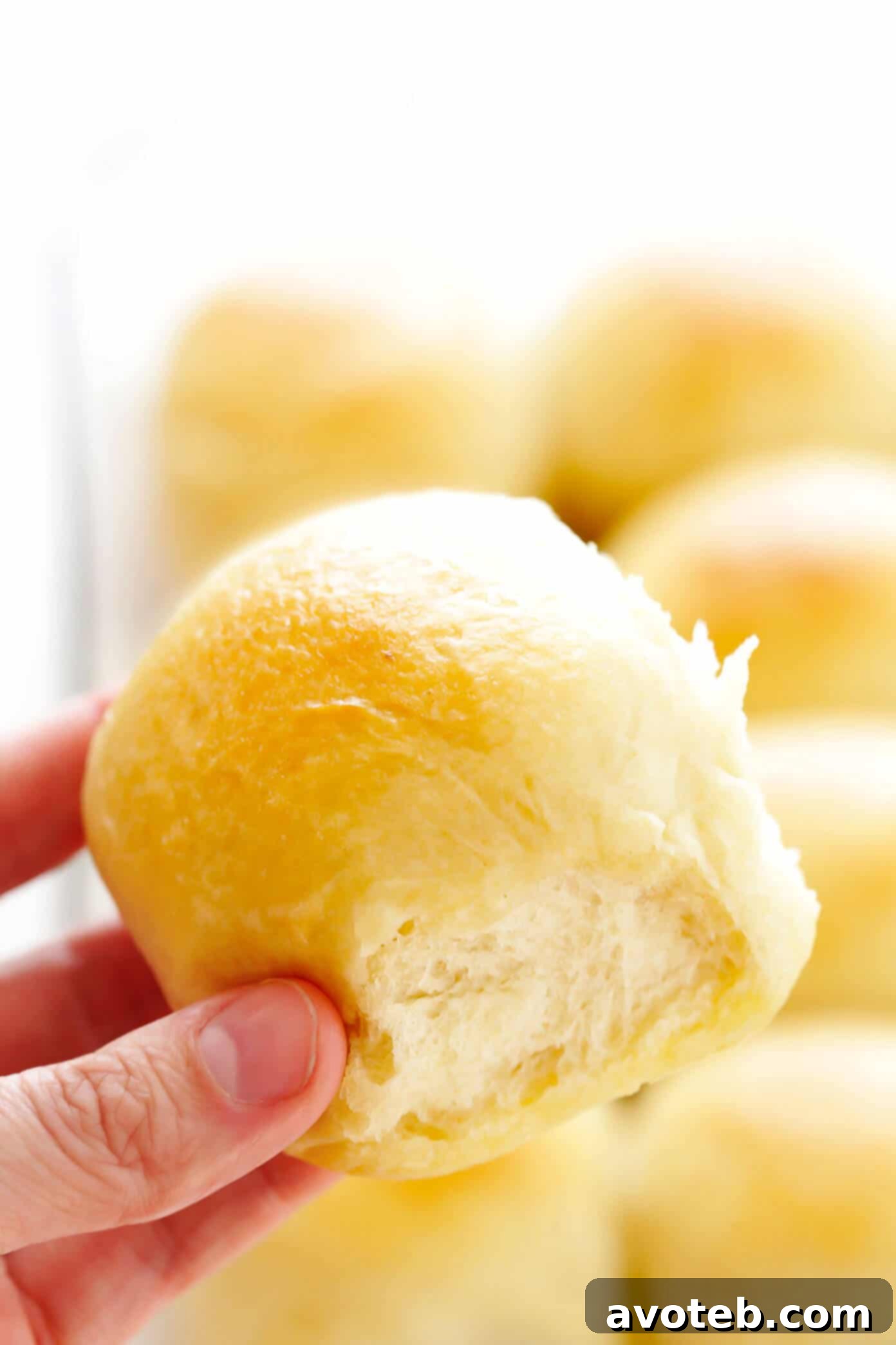 Soft Dinner Roll Closeup