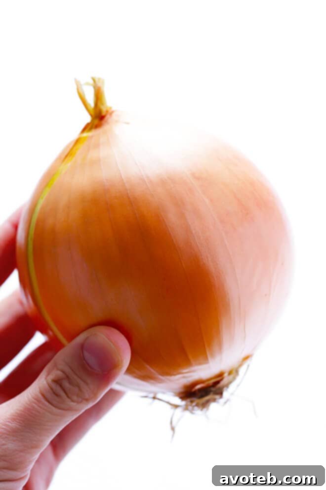 Learn how to safely and efficiently dice an onion, a fundamental kitchen skill for home cooks.