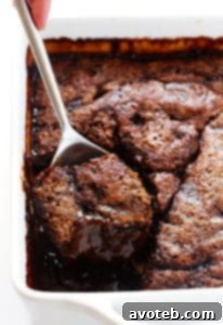A slice of Chocolate Avocado Hot Fudge Cake with a scoop of ice cream.