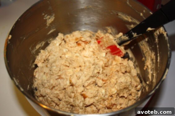 Oatmeal Apricot White Chocolate Dough Raw oatmeal cookie dough with visible apricots and white chocolate pieces, scooped onto a baking sheet