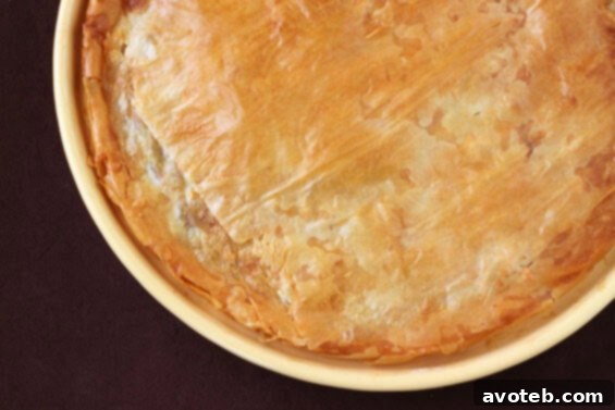 Moroccan-Style Chicken Pie close-up with a serving utensil, a slice already taken