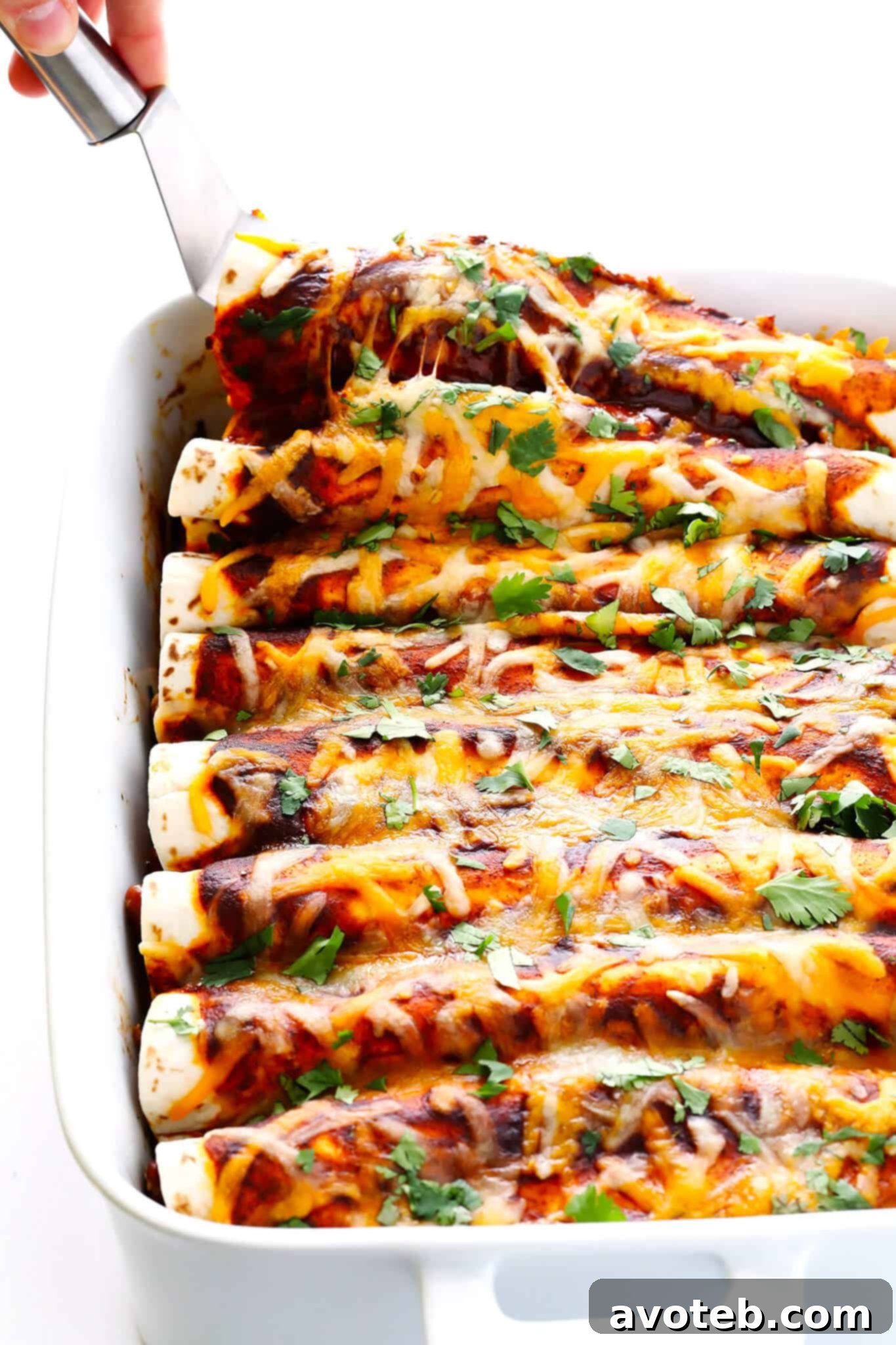 Plated Ancho Chicken Enchiladas, garnished with fresh avocado and cilantro. A mouthwatering serving suggestion for this flavorful Mexican dish.