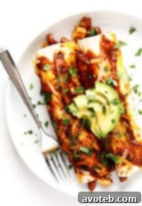 Ancho Chicken Enchiladas with cheese and cilantro