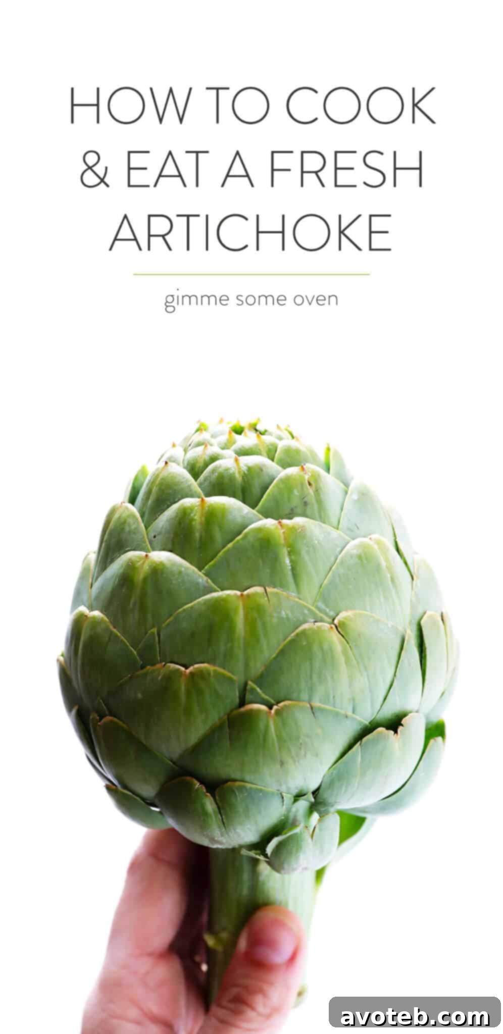 How To Cook and Eat A Fresh Artichoke