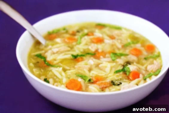 Delicious Basil, Chicken & Orzo Soup - A Refreshing Twist on Classic Comfort Food Basil Chicken Orzo Soup Recipe