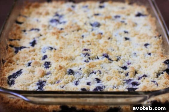 A close-up of baked Blueberry Crumb Bars, still in the pan, highlighting the golden brown crust and the juicy fruit filling beneath the crumb topping.